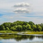 Jak nowe technologie pomagają kierowcom? Od systemów ADAS po autonomiczną jazdę